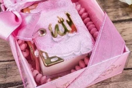 Quran small size with counter (velvet pink)
